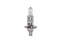 Żarówka halogenowa H1 12V 100W